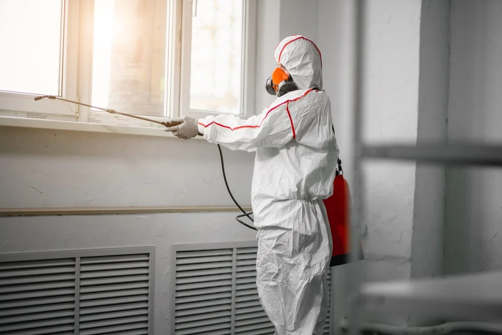 Professional mold remediation services in Farmingdale, NJ